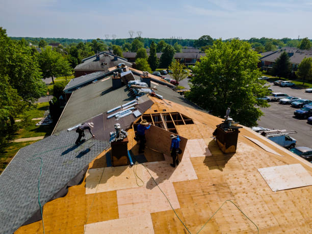 Trusted Emergency Roof Repair service in Ama, LA - Brentwood Metal Roofing